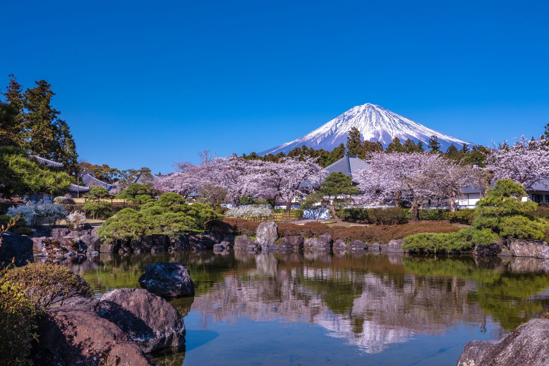 富士山